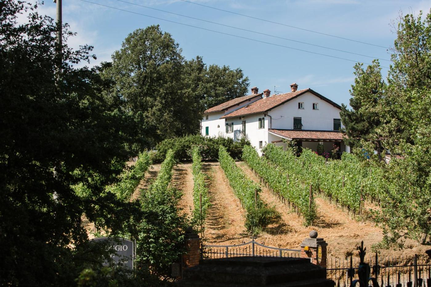 B&B Il Poggio Di Gavi Εξωτερικό φωτογραφία
